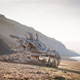 Illustration for article titled Did a massive dragon just wash ashore along Englands Jurassic coast?
